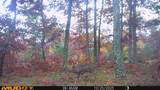 V/L Rybicki Road - Photo 51