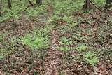  Magruder Road - Photo 12