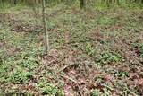 Magruder Road - Photo 16