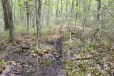  Magruder Road - Photo 5