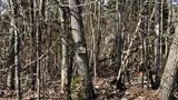 Lot 28 White Pine Drive - Photo 9