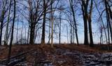 794 Greystone Drive - Photo 3