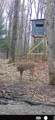 10830 3 Mile Road - Photo 24