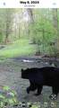 10830 3 Mile Road - Photo 26