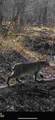 10830 3 Mile Road - Photo 27