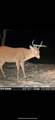 10830 3 Mile Road - Photo 28