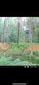 10830 3 Mile Road - Photo 30