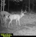 51133 Creglow Road - Photo 4