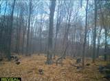 51133 Creglow Road - Photo 5