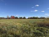 TBD Bordman Road - Photo 20