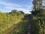 TBD Bordman Road - Photo 31