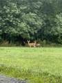 TBD Bordman Road - Photo 37