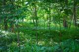 5100 Long Lake Road - Photo 11