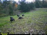 5100 Long Lake Road - Photo 15