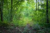 5100 Long Lake Road - Photo 47
