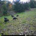 5100 Long Lake Road - Photo 61