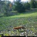 5100 Long Lake Road - Photo 63