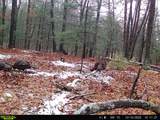 121 Pierce Drive - Photo 24