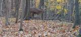  Pittsford Road - Photo 1