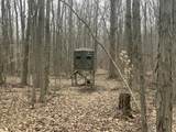  Pittsford Road - Photo 2