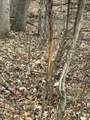  Pittsford Road - Photo 9