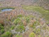  2 Mile Road - Photo 1