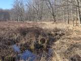  2 Mile Road - Photo 13