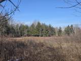  2 Mile Road - Photo 18