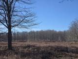  2 Mile Road - Photo 19