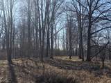  2 Mile Road - Photo 21