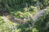 12952 Bowen Lake Drive - Photo 4