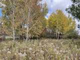 000 VL Cottonwood Avenue - Photo 15