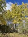 000 VL Cottonwood Avenue - Photo 8