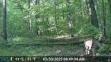 0 56th Street - Photo 13