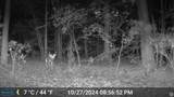 0 56th Street - Photo 9