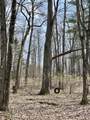 40+/- Acres 48th Street - Photo 4