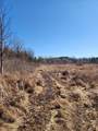 12 Mile Road - Photo 4