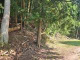 5341 Benson Road - Photo 15