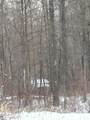 V/L Prairie Road - Photo 11