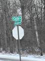 V/L Prairie Road - Photo 14
