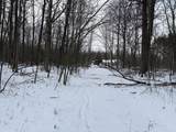 V/L Prairie Road - Photo 16