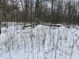 V/L Prairie Road - Photo 21