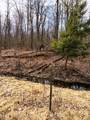 V/L Prairie Road - Photo 4