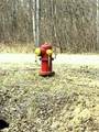 V/L Prairie Road - Photo 5