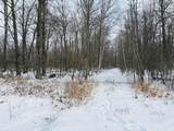 V/L Prairie Road - Photo 6