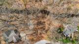 4202 Grand Bch Road - Photo 3