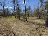 3225 1 1/2 Mile Road - Photo 3