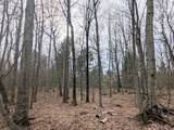 V/L Weber Road - Photo 12