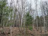 V/L Weber Road - Photo 13