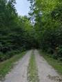 V/L Weber Road - Photo 14